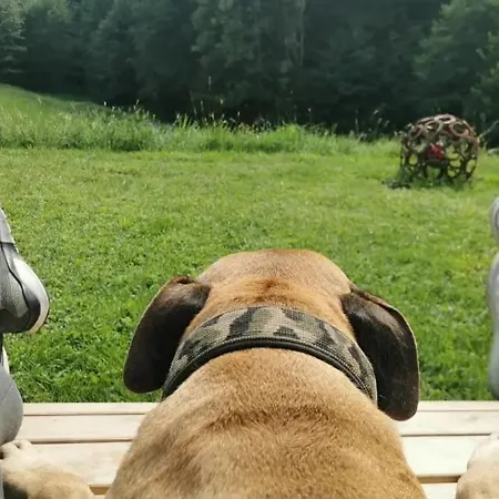 Bed & Breakfast Seminar- Und Erlebnishof Schwarze Schaf Bad Gams