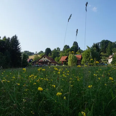 Bed & Breakfast Seminar- Und Erlebnishof Schwarze Schaf 3*