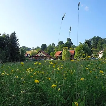 Seminar- Und Erlebnishof Schwarze Schaf B&B Bad Gams