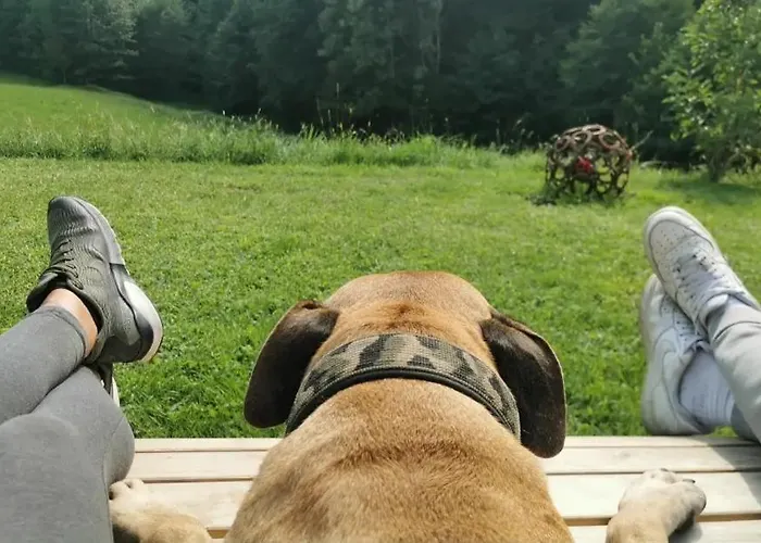 Couette-café Seminar- Und Erlebnishof Schwarze Schaf Bad Gams