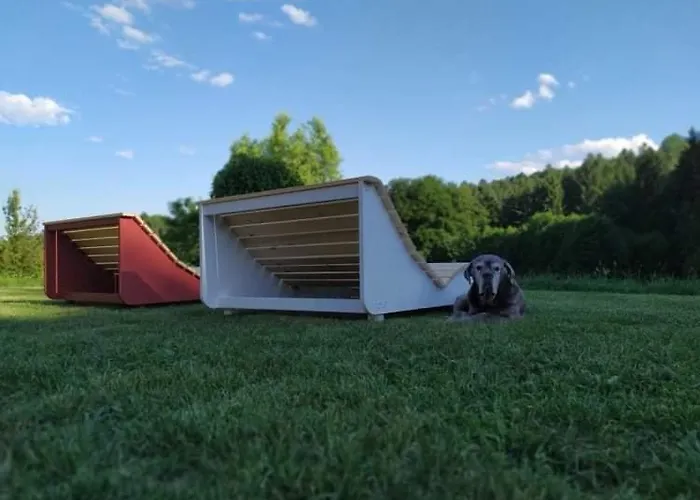 Seminar- Und Erlebnishof Schwarze Schaf 住宿加早餐酒店