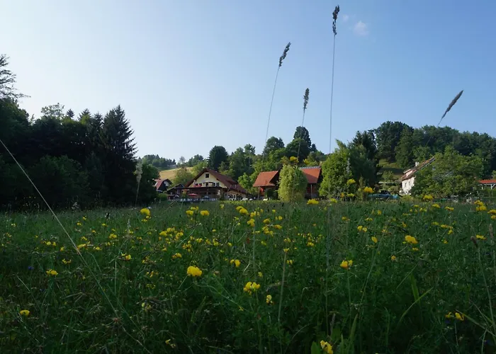 Couette-café Seminar- Und Erlebnishof Schwarze Schaf 3*